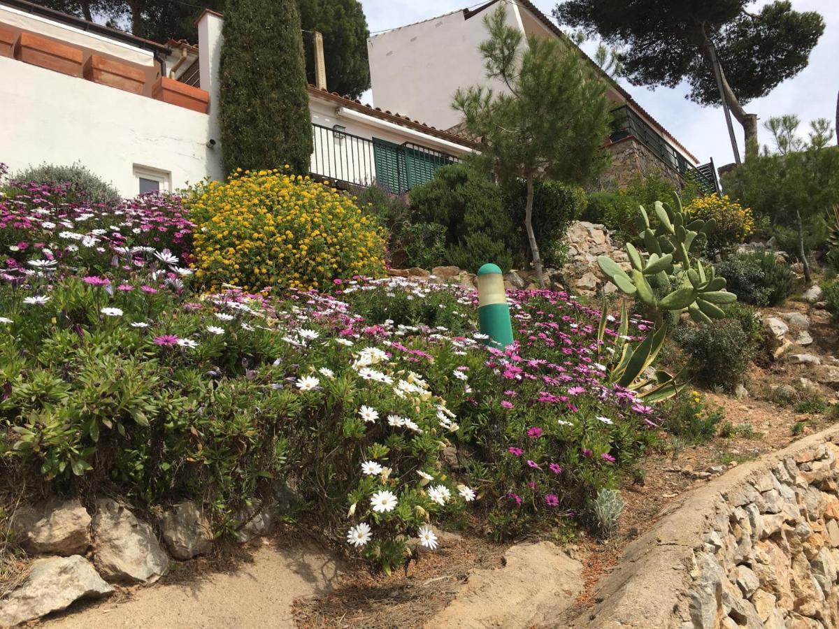 Apartamento Islas Medas Wifi Y Parking Gratis L'Estartit Luaran gambar