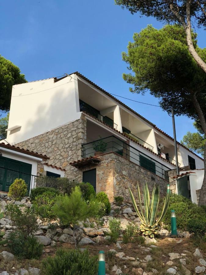 Apartamento Islas Medas Wifi Y Parking Gratis L'Estartit Luaran gambar
